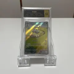 ハヤシガメ AR SV5K ワイルドフォース 072/071