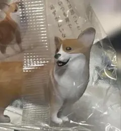 モザイヌ2コーギー フィギュア カプセルトイ