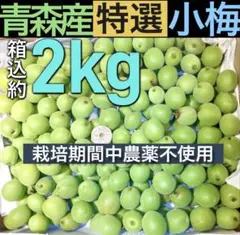 7.青森県産　特選品小梅　青梅　カリカリ梅　豊後梅　箱込み約２kgのサムネイル