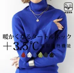 【最終値下】antiqua 発熱ヒートリブインナー タートルニット（ブルー）