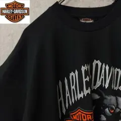 激レア】90s ハーレーダビッドソン ロンT ファイヤー 完売モデル