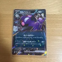 ポケモンカード モルペコex
