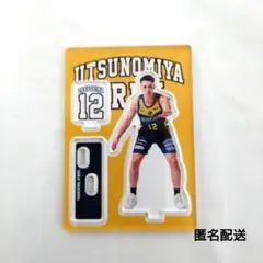 宇都宮ブレックス 星川 開聖 選手USAGIYA×BREXコラボアクリルスタンド