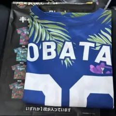 Item thumbnail for item 95bcce88-bb93-42f7-814b-1982fe99d4fb