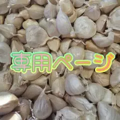居待月様専用ページ