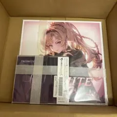 新品 THERMITE 初回仕様限定盤 メガジャケ付