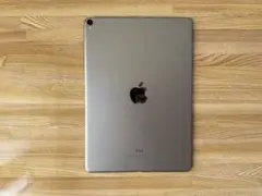 iPad Pro 10.5インチWi-Fiモデル スペースグレー 64GB