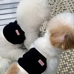 seenii 韓国犬服　トップス　ブラック　Mサイズのサムネイル