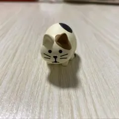 DECOLE デコレ　コンコンブル　観察猫