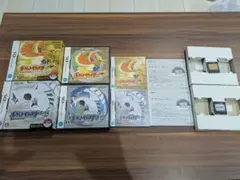 ポケウォーカー無し】ハートゴールド・ソウルシルバー2本セット 2
