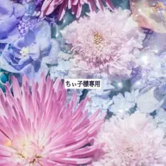 【ちぃ子様専用】