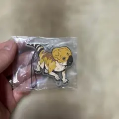 子供の恐竜ストラップ