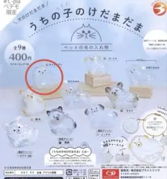 うちの子のけだまだま　犬　ポメラニアン　#C-plaペテモ限定