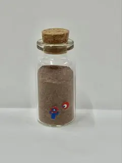 【残4】大阪関西万博　ヨルダン　砂漠の砂入り小瓶