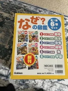 きせつのおべんきょうカード はるなつあきふゆ - メルカリ