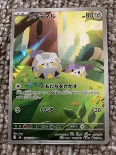 ポケモンカード トゲデマル 090/080 AR