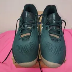 ASICS GEL-RESOLUTION X WIDE（3E）オールコート用26