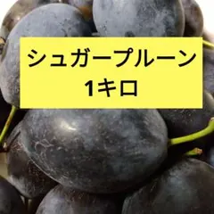 栽培期間中農薬不使用　生プルーン 　1キロ位　早目収穫 栽培期間中農薬不使用 生プルーン 1キロ位 収穫して発送 - メルカリ