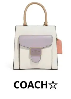 COACH コーチ ショルダーバッグ ハンドバッグ 2WAY レザー 肩掛け