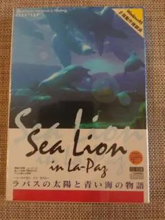 Sea Lion in La Paz　ディスク