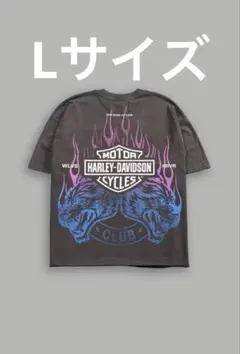 2026年最新】darc sport tシャツの人気アイテム - メルカリ
