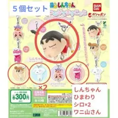 つまんでつなげてますこっと　クレヨンしんちゃん　5個セット