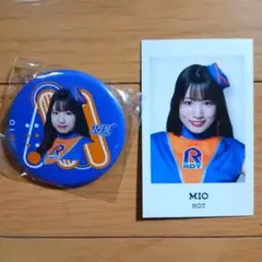 茨城ロボッツ　RDT　ブラインドグッズ　缶バッジ　チェキ風トレカ　㊶(39)