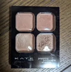 KATE ポッピングシルエットシャドウ OR-1