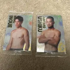 Item thumbnail for item bef6ed95-f9d3-4138-af3b-1cbb7c3addbd