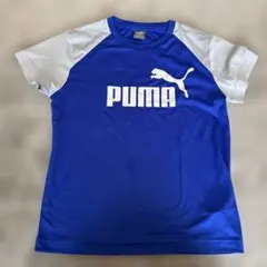 PUMA ラグラン Tシャツ 青/白