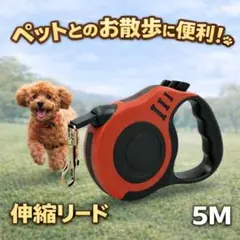 【レッド】ワンタッチ 自動伸縮リード 5m 自動巻き取り 軽量 リード