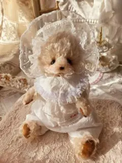 ꫛꫀꪝ✧‧˚classic style テディベア