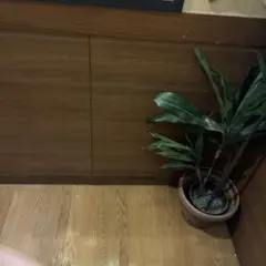 Yさん専用