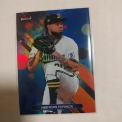 ANDERSON ESPINOZA 150シリ