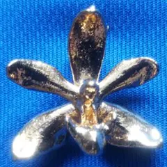 2025年最新】risis シンガポールの人気アイテム - メルカリ