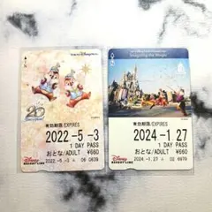 ディズニーリゾートライン フリーきっぷセット