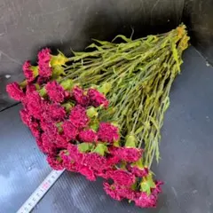 Item thumbnail for item 5052bca8-c9d2-45c2-aa7e-31b0868748cd