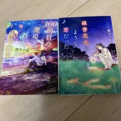 rikaon様 リクエスト 2点 まとめ商品