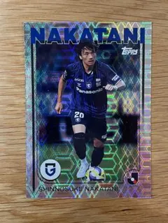 Item thumbnail for item 2a4d08b2-9afd-4afa-b5e5-40d393935819