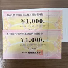 ビックカメラ 株主優待券 2000円分