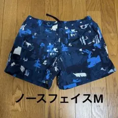 THE NORTH FACE 総柄 ショートパンツ ブルー系　正規店購入のサムネイル