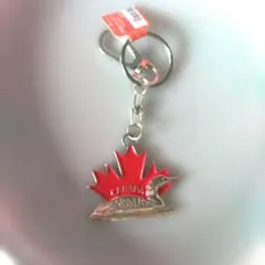 Item thumbnail for item 6d32c2a2-3714-47cc-bb06-adba74f3fb1f