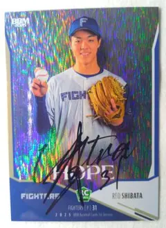 Item thumbnail for item 67952ffd-3493-44e6-bc80-3e25dc981f87