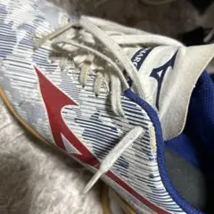 モナルシーダ フットサルシューズ