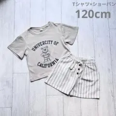 【新品】120cm 韓国ベビー　Tシャツ・ショートパンツ セット　12