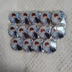 僕のヒーローアカデミア ヒロアカ 轟焦凍 缶バッジ 夏 14点