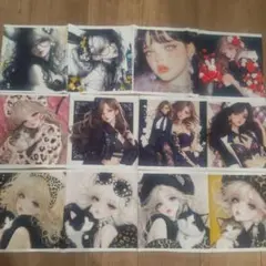 レディ12パネルまとめ売りバラ売り可能