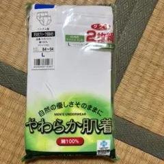 GUNZE やわらか肌着 ブリーフ前あきLサイズ 2枚組