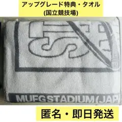 Stray Kids RUN IT JAPAN アップグレード特典 タオル 国立