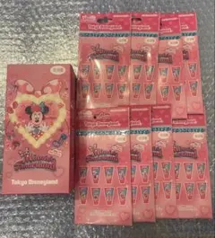 ディズニーランド　パルパルーザ　ミニーのファンダーランド　ワッペンアクセサリー